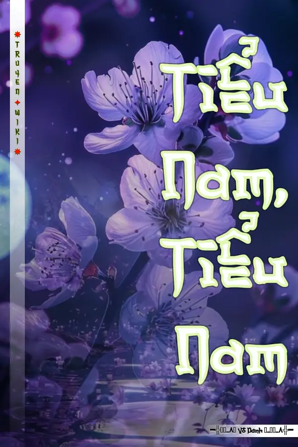 Truyện Tiểu Nam, Tiểu Nam